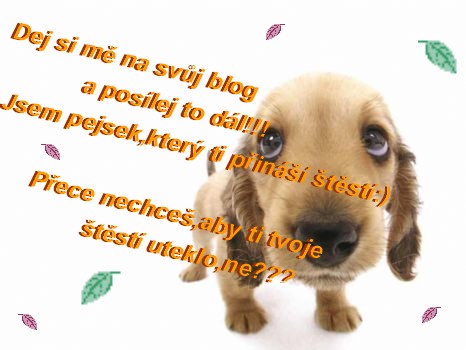 stesti_pejsek.jpg